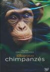 Chimpanzés