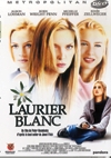 Laurier blanc