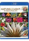 Antoine naturellement : fleurs & plantes