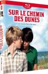 Sur le chemin des dunes