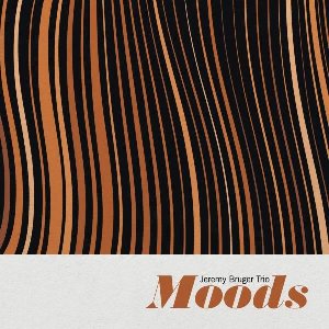 Moods | Jeremy Bruger Trio