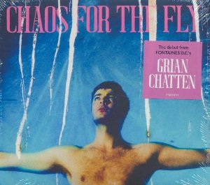 Chaos for the fly Chaos for the fly