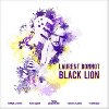 Black lion | Laurent Bonnot