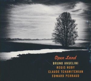 Open land / Bruno Angelini, p | Angelini, Bruno