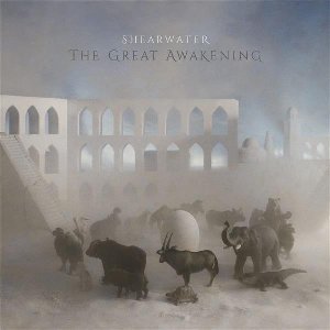 The Great awakening / Shearwater | Shearwater
