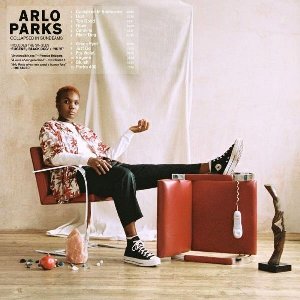 Collapsed in sunbeams / Arlo Parks | Parks, Arlo