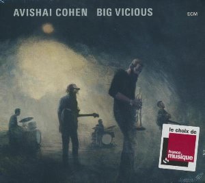 Big Vicious / Big Vicious | Cohen, Avishai (1970-....). Musicien