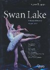 Swan lake  | François Roussillon