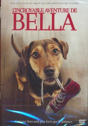 L' incroyable aventure de Bella = A dog's way home / Charles Martin Smith, Réal. | Smith, Charles Martin. Monteur