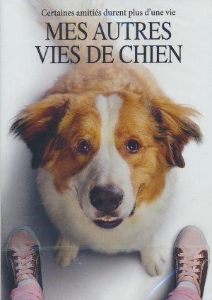 Mes autres vies de chien = A Dog's Journey / Gail Mancuso, Réal. | Mancuso, Gail. Monteur